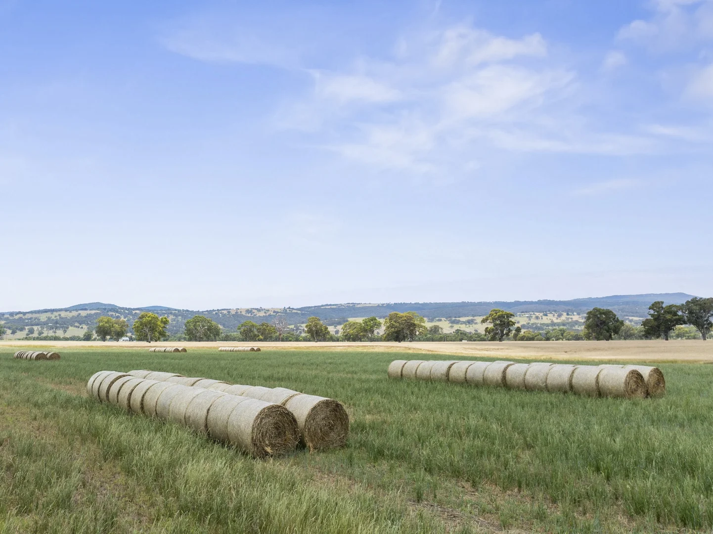 Additional image 2 of Lot 3 Long Lane, Barwite VIC 3722