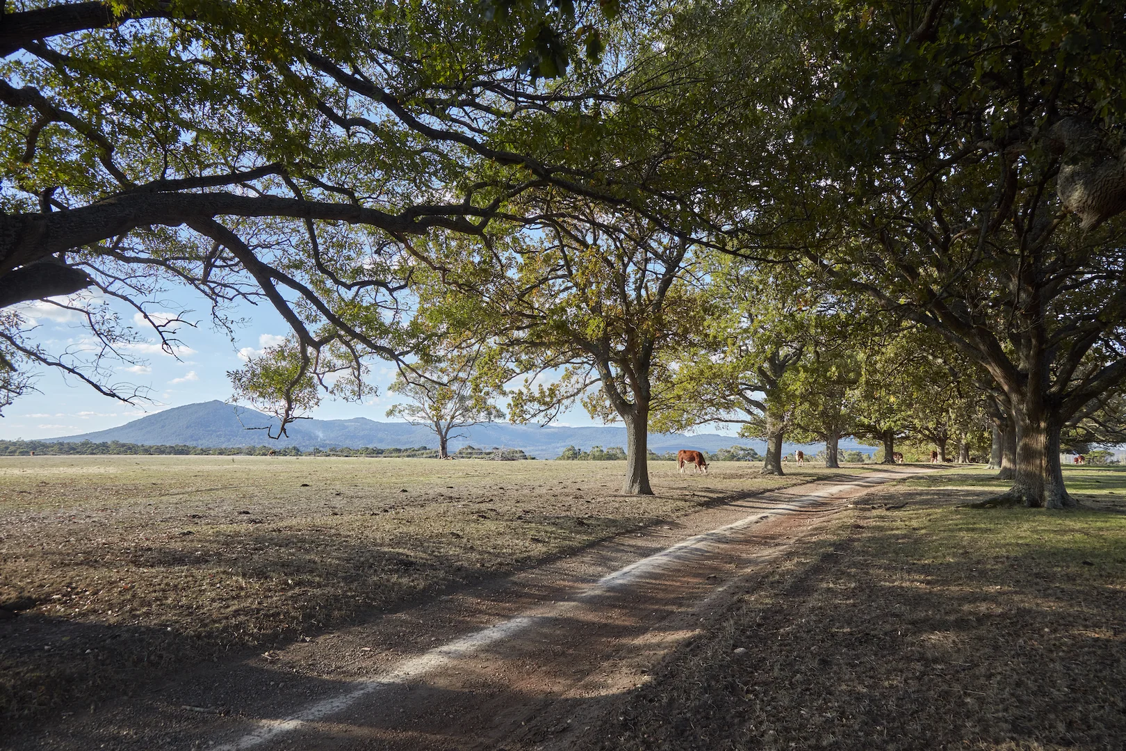 Additional image 3 of 233 Ross Watt Road, Gisborne VIC 3437