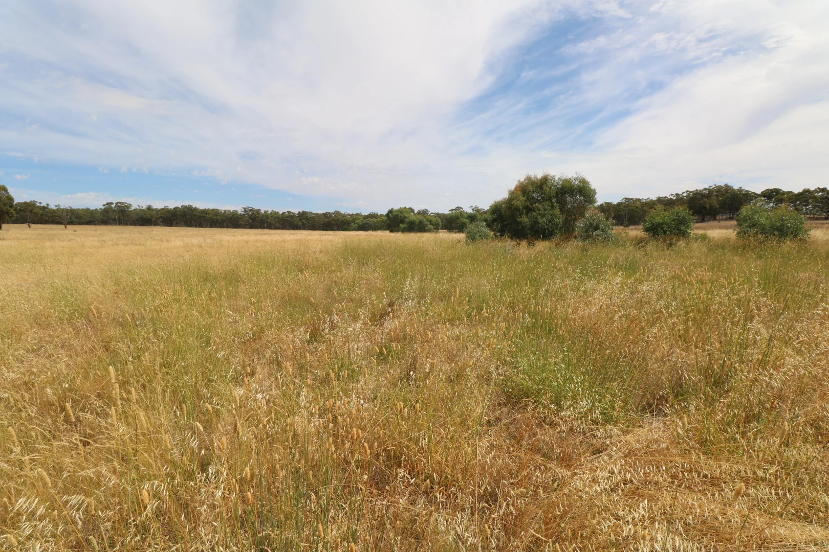 Additional image 3 of 1 Calder Highway, Wedderburn VIC 3518