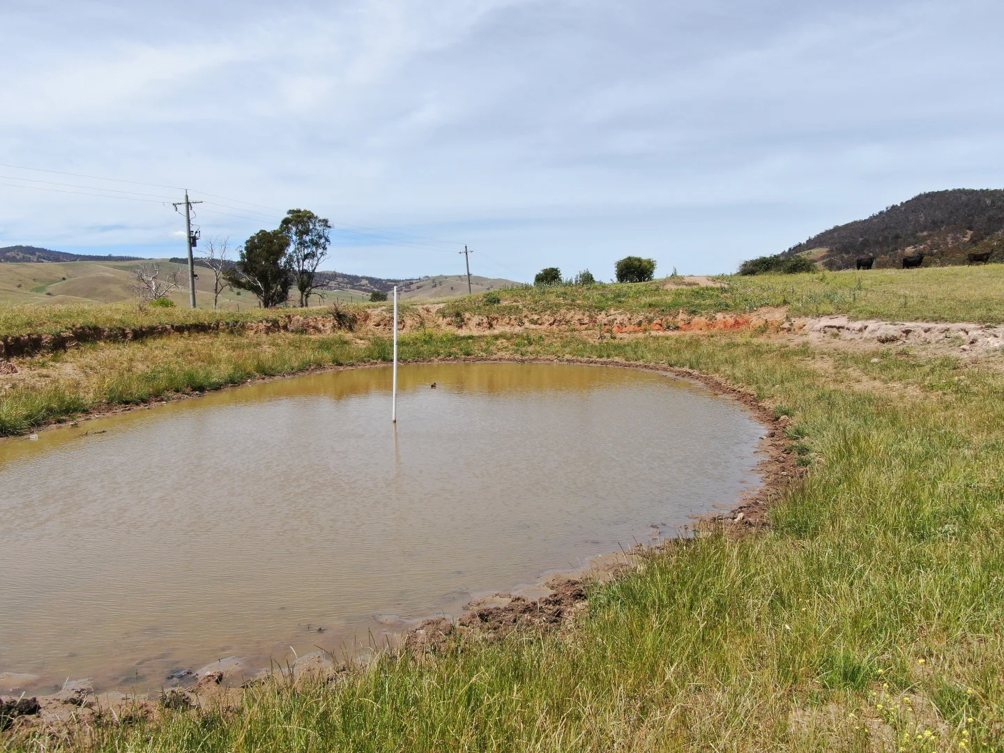 Additional image 8 of 333 Omeo Valley Road, Omeo VIC 3898