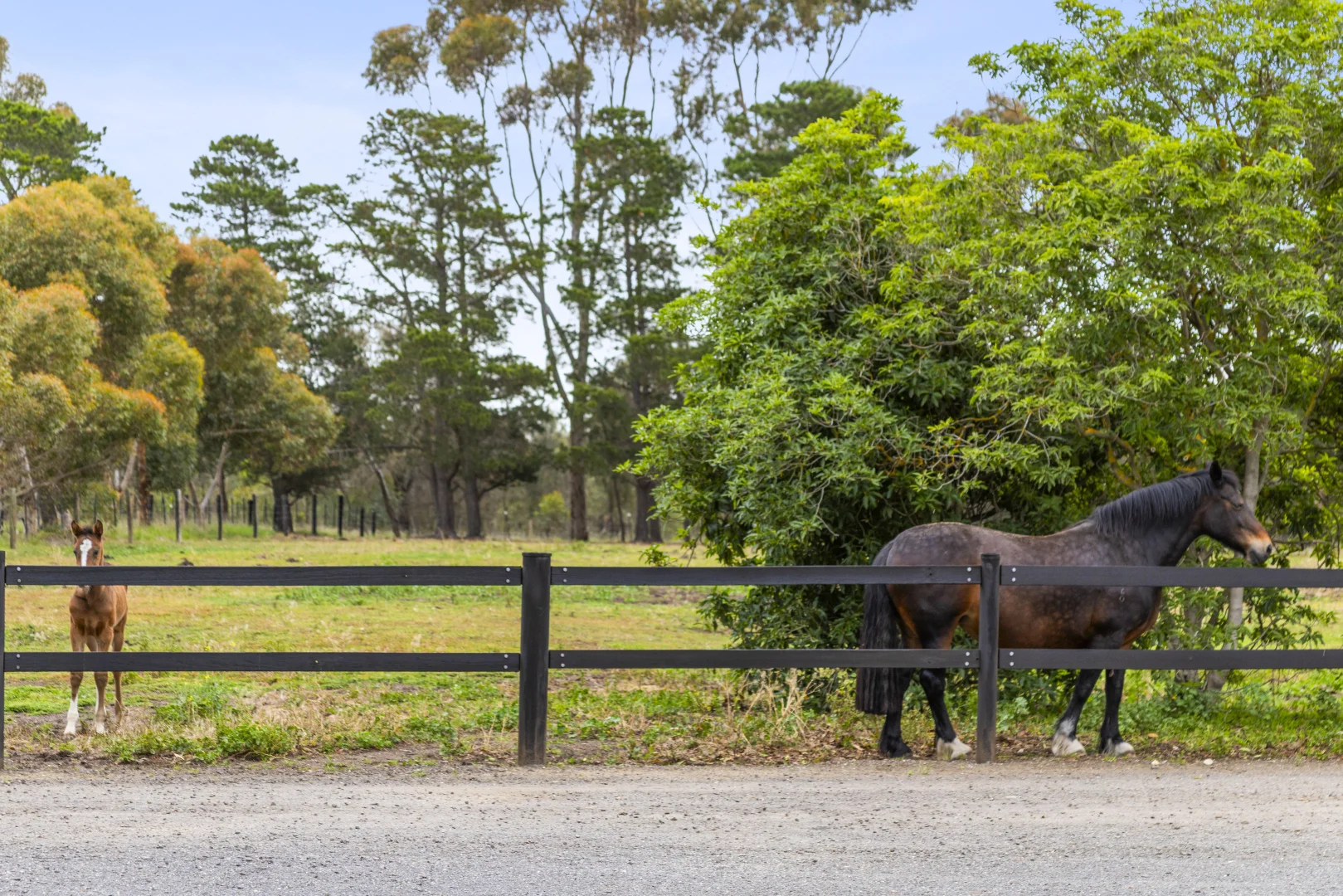 Additional image 41 of 2249 Midland Highway, Bannockburn VIC 3331