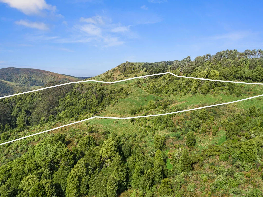 Additional image 24 of 775 Barham River Road, Apollo Bay VIC 3233