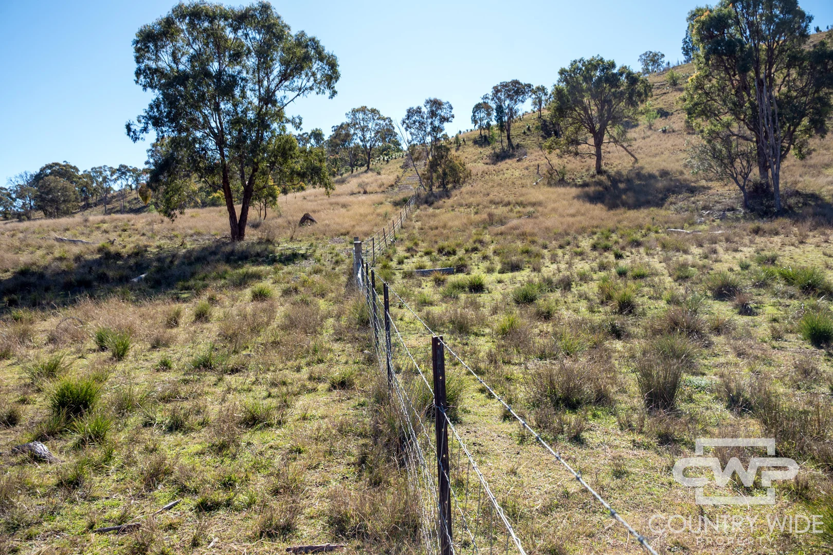 Additional image 14 of 12, 212 Mole Station Road, Tenterfield NSW 2372