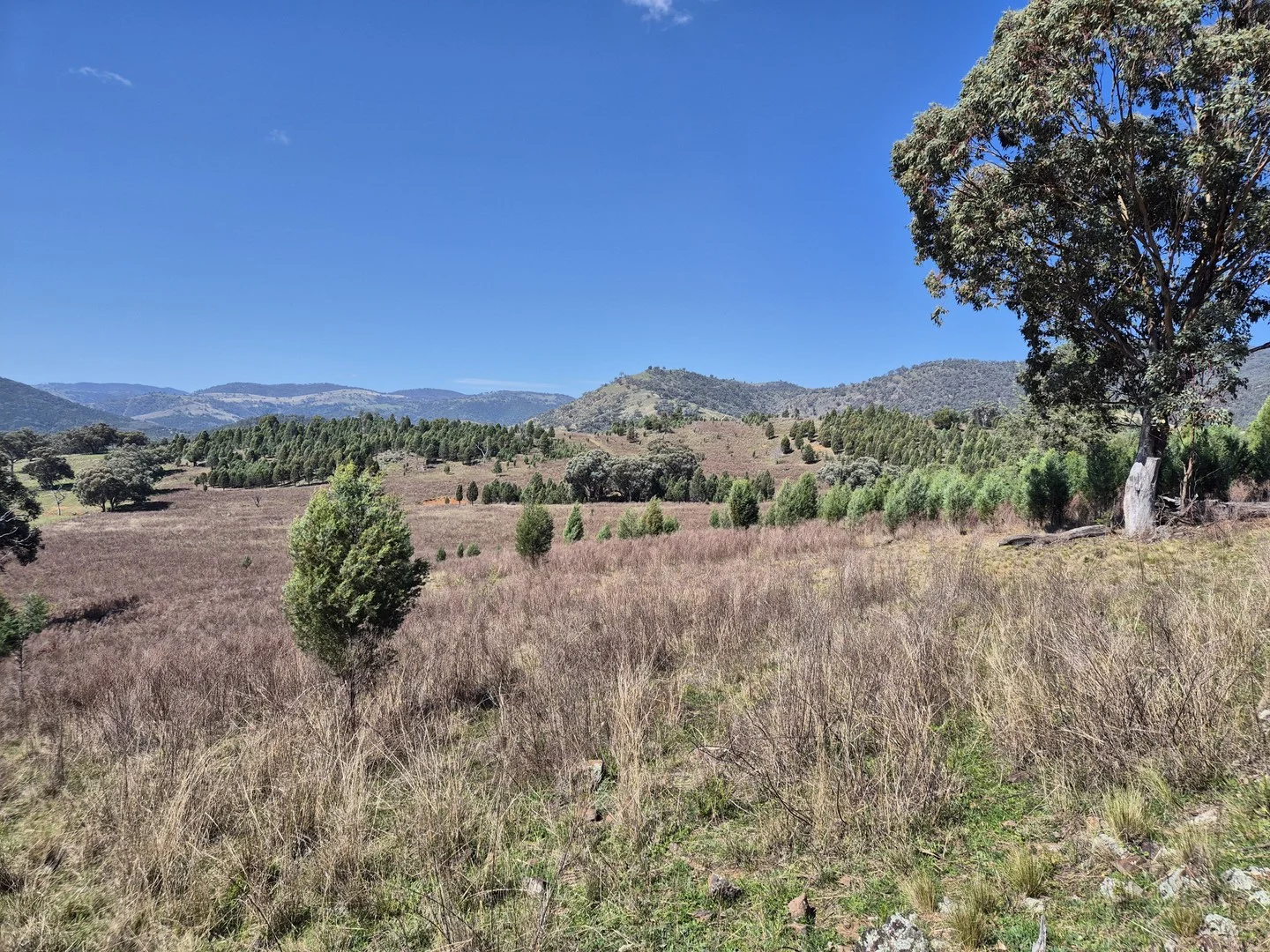 46 Worlds End Rd, Yarrabin NSW 2850