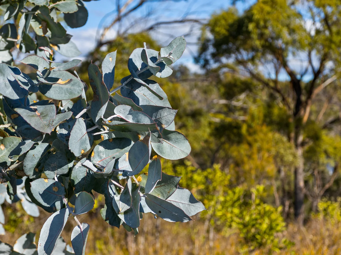 Additional image 21 of 4017 Arthur Highway, Murdunna TAS 7178