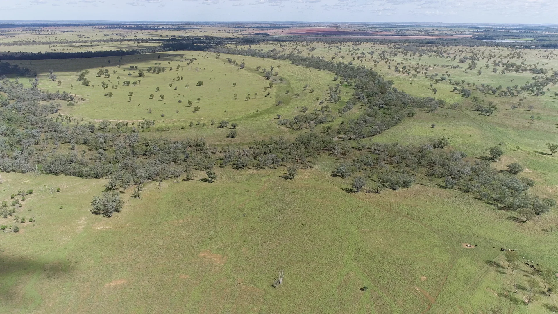 Additional image 22 of 'Glencoe' 28547 Carnarvon Highway, Roma QLD 4455