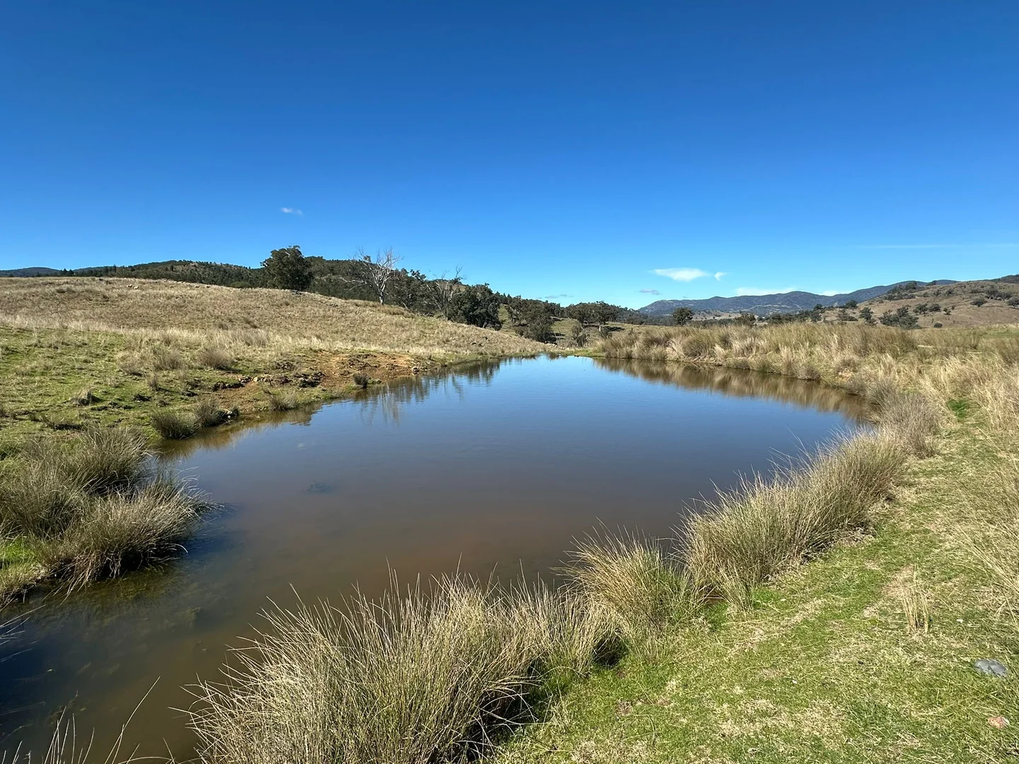 Additional image 37 of 2991 Halls Creek Road, Halls Creek NSW 2346
