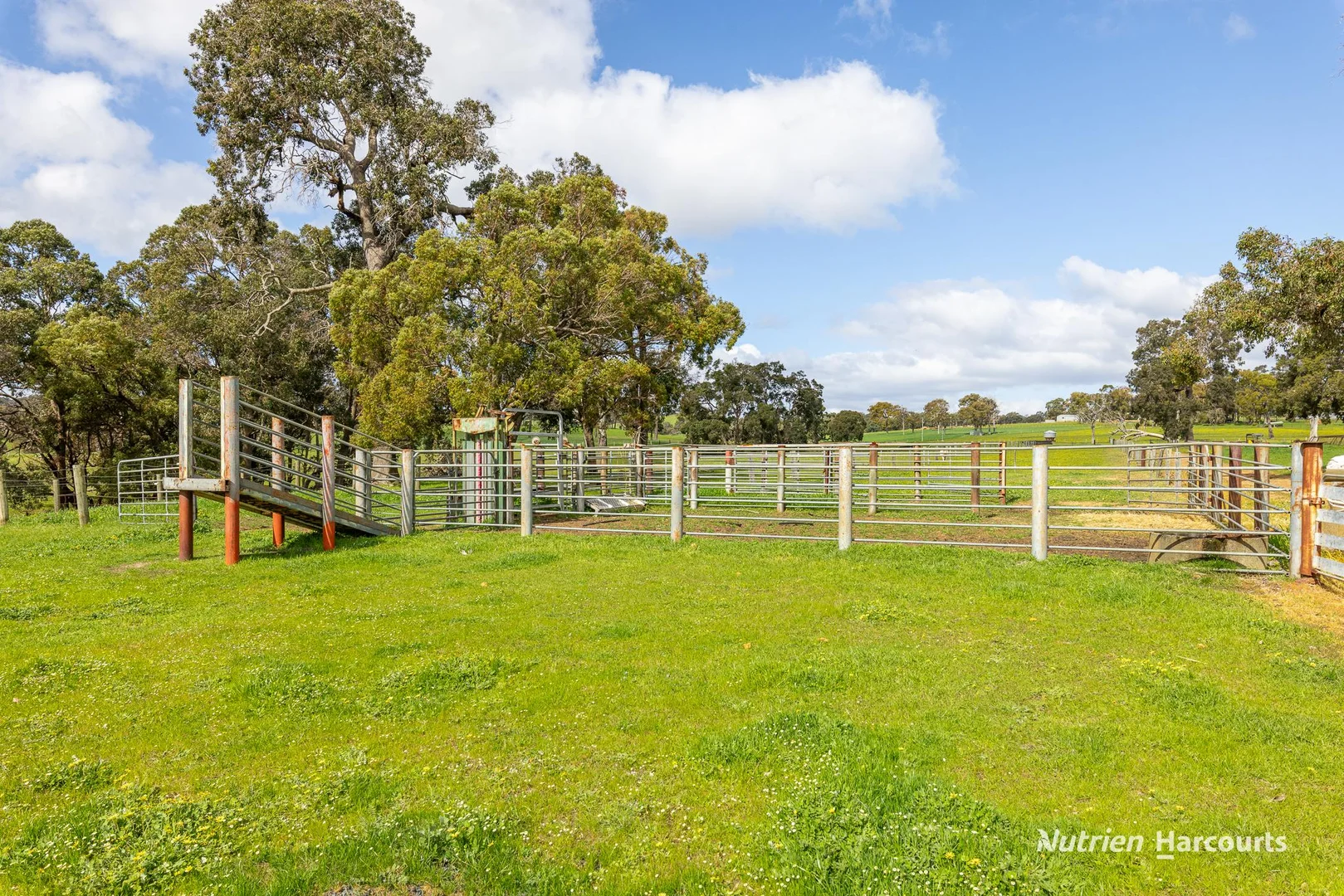 Additional image 14 of 279 Giumelli Road, Henty WA 6236