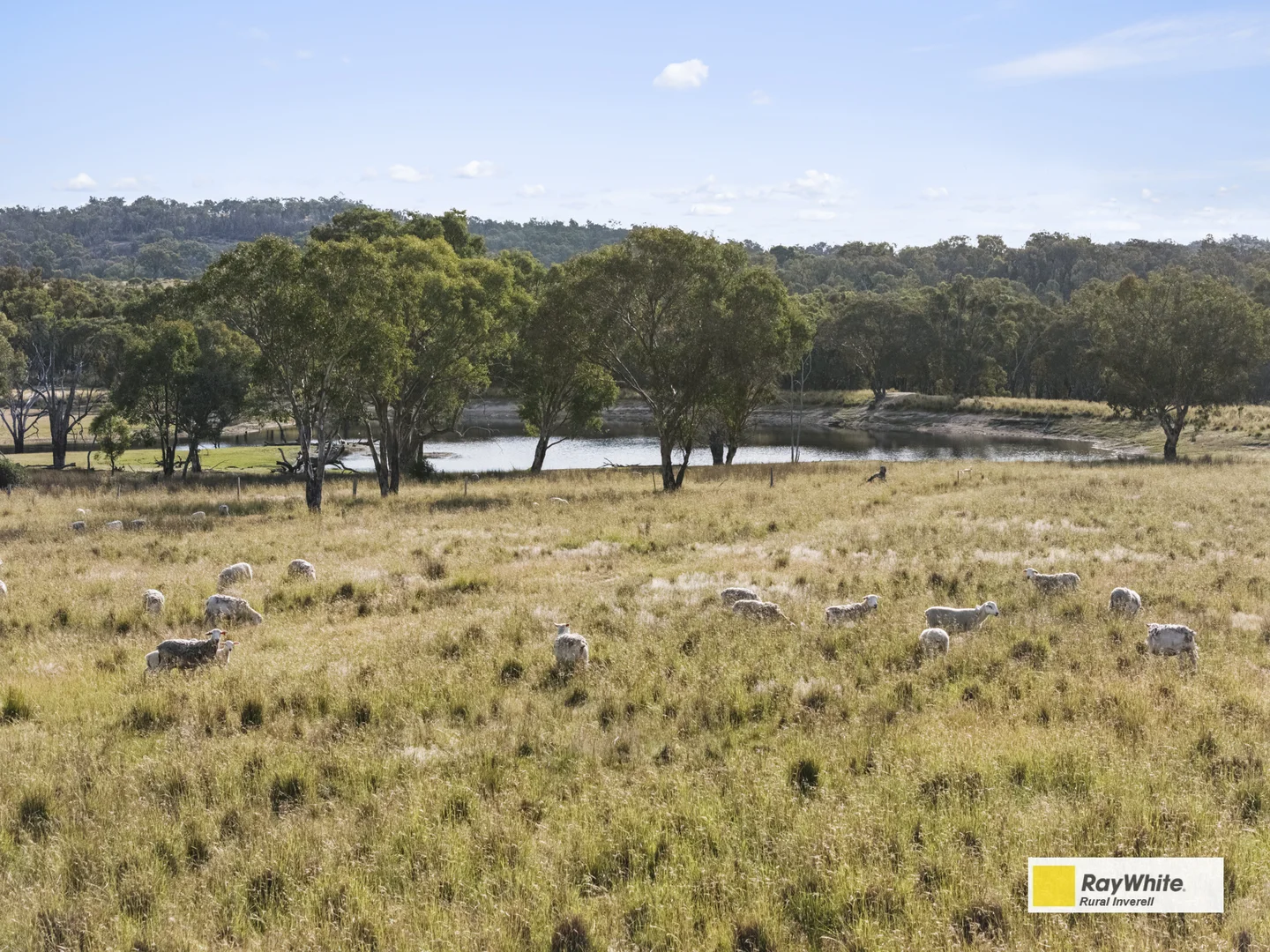 Additional image 5 of 2720 Bingara Road, Bundarra NSW 2359