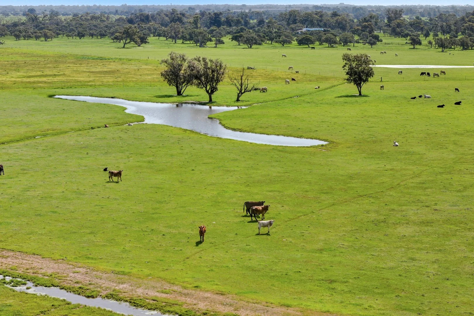 Dowdells Line, Paradise WA 6236