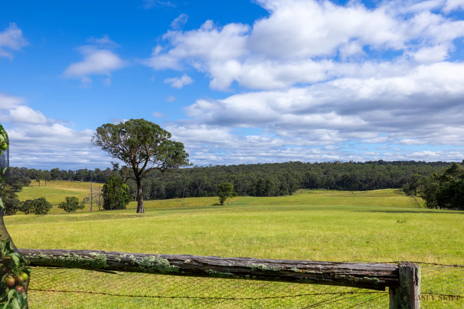 Additional image 21 of 2279 Princes Highway, Swan Reach VIC 3903