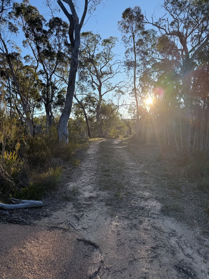 Additional image 44 of 385 Foxs Elbow Road, Braidwood NSW 2622