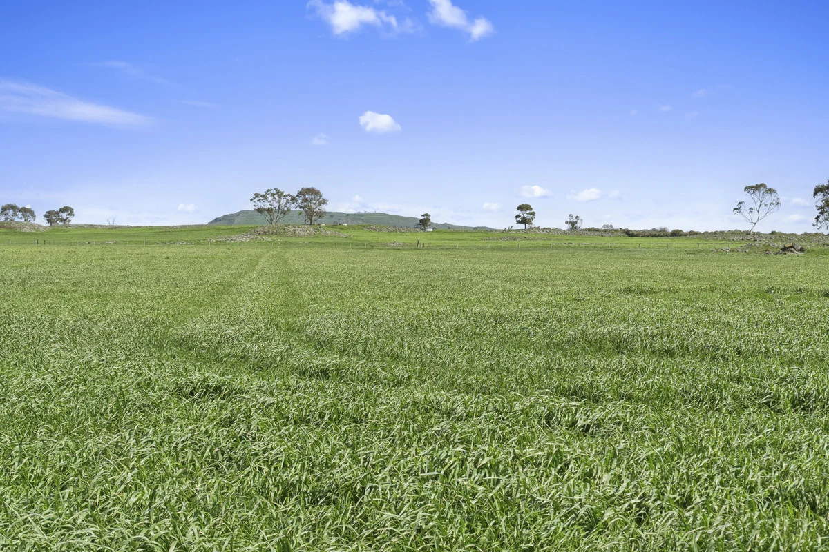 Additional image 38 of 280 Ondit-Warrion Road, Ondit VIC 3249