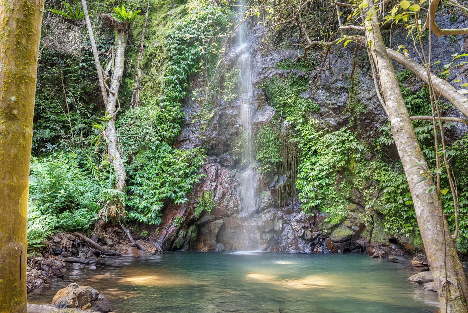 Additional image 4 of 892 & 904 The Pocket Road, The Pocket NSW 2483