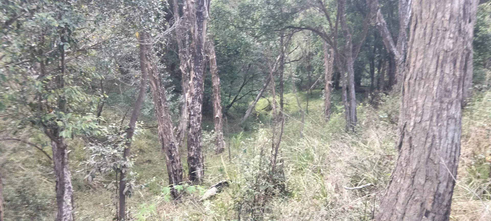 Additional image 16 of 3359 Lowmead Road, Lowmead QLD 4676