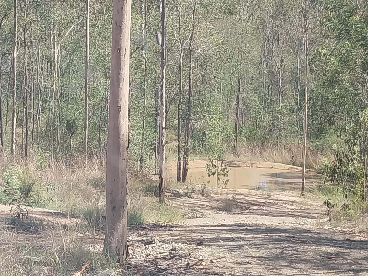 Additional image 12 of Moolboolaman QLD 4671