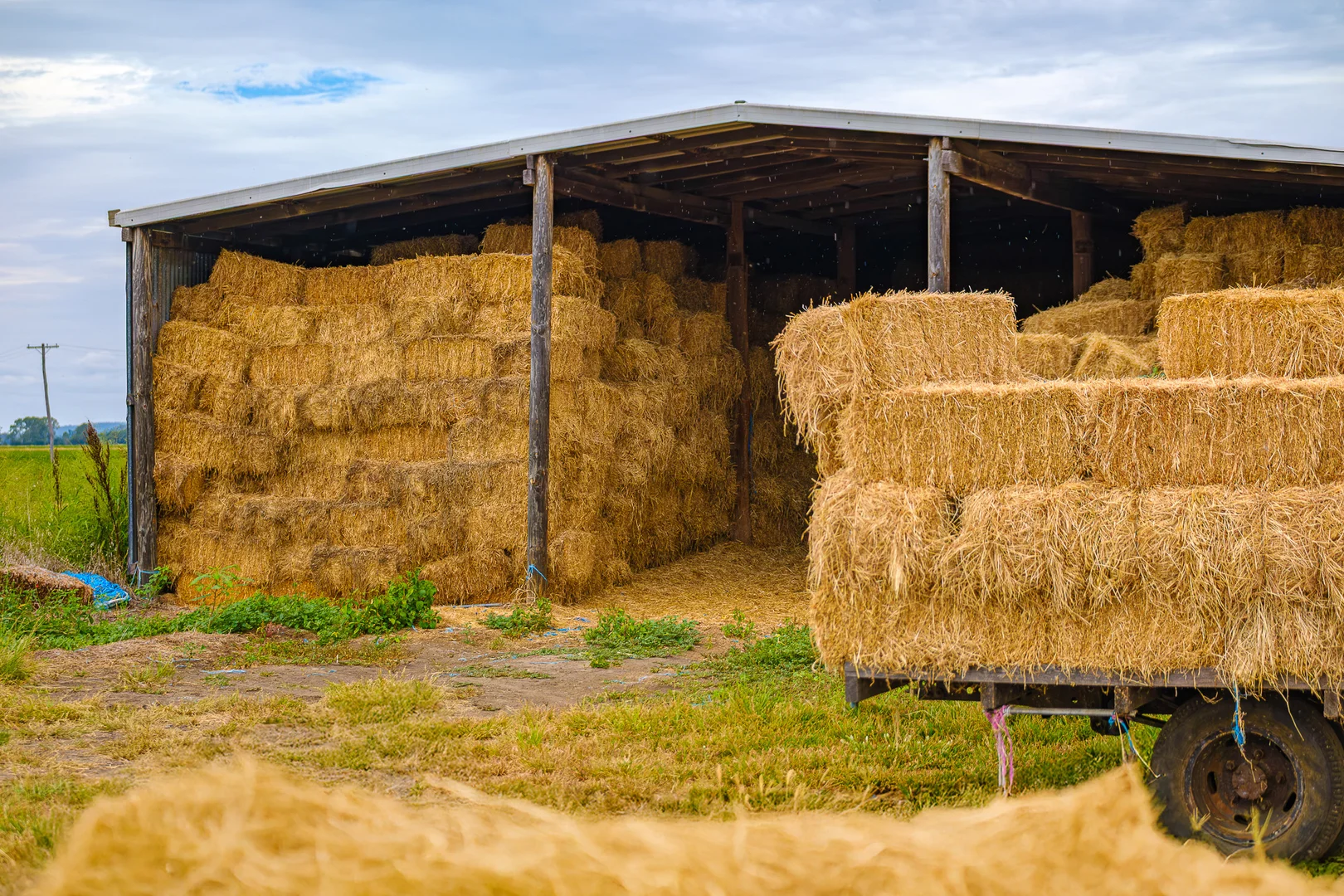 Additional image 19 of 424 Campbells Road, Silverleaf QLD 4605