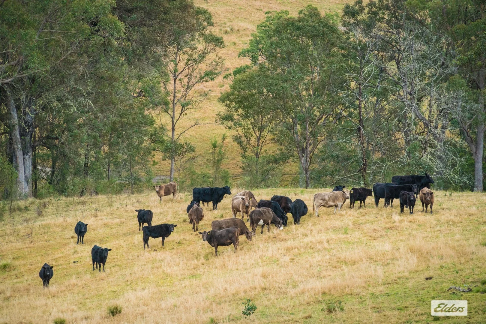 Additional image 20 of 93 Ramble Lane, Brogo NSW 2550