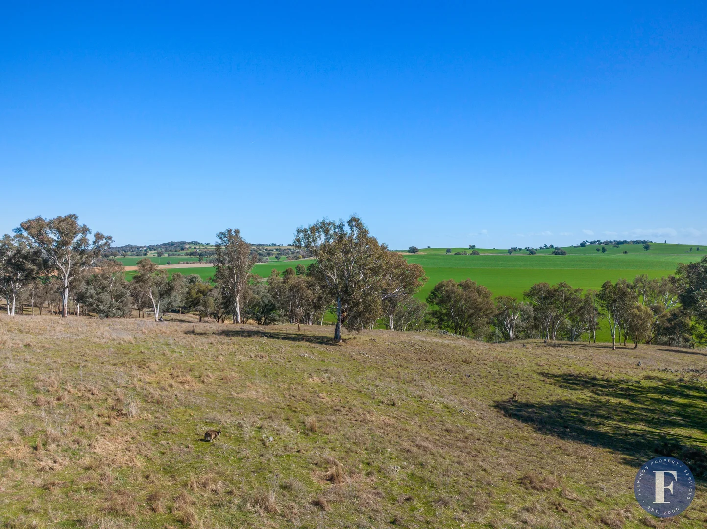 Additional image 5 of Lots 1-14 Willowvale Road, Cowra NSW 2794
