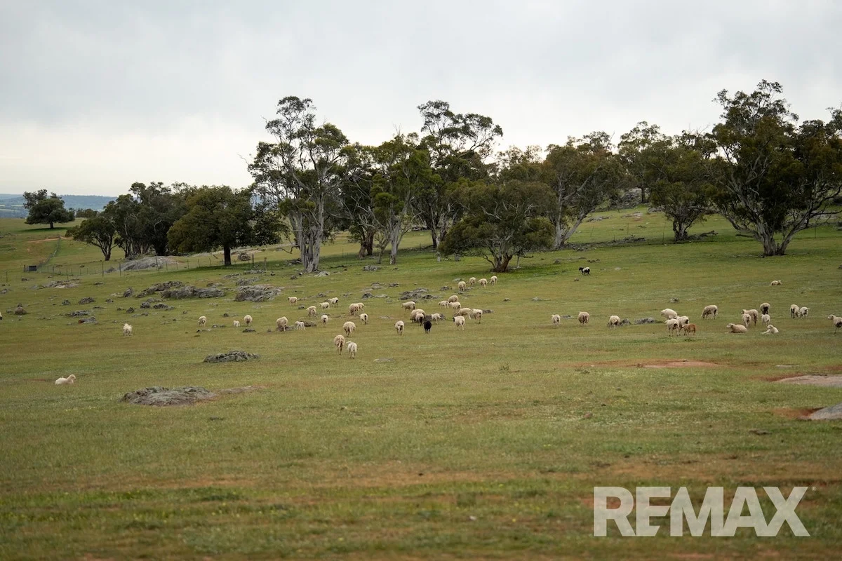 Additional image 4 of 417 Twelve Mile Road, Yarragundry NSW 2650