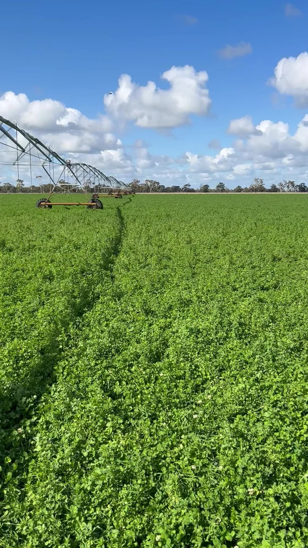 Additional image 2 of 71 Joys Road, Binnum SA 5262