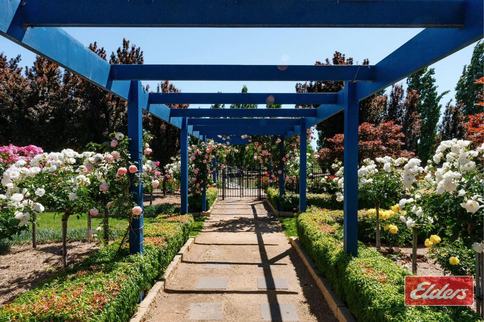 Additional image 11 of 223 McSwains Road, Echuca VIC 3564