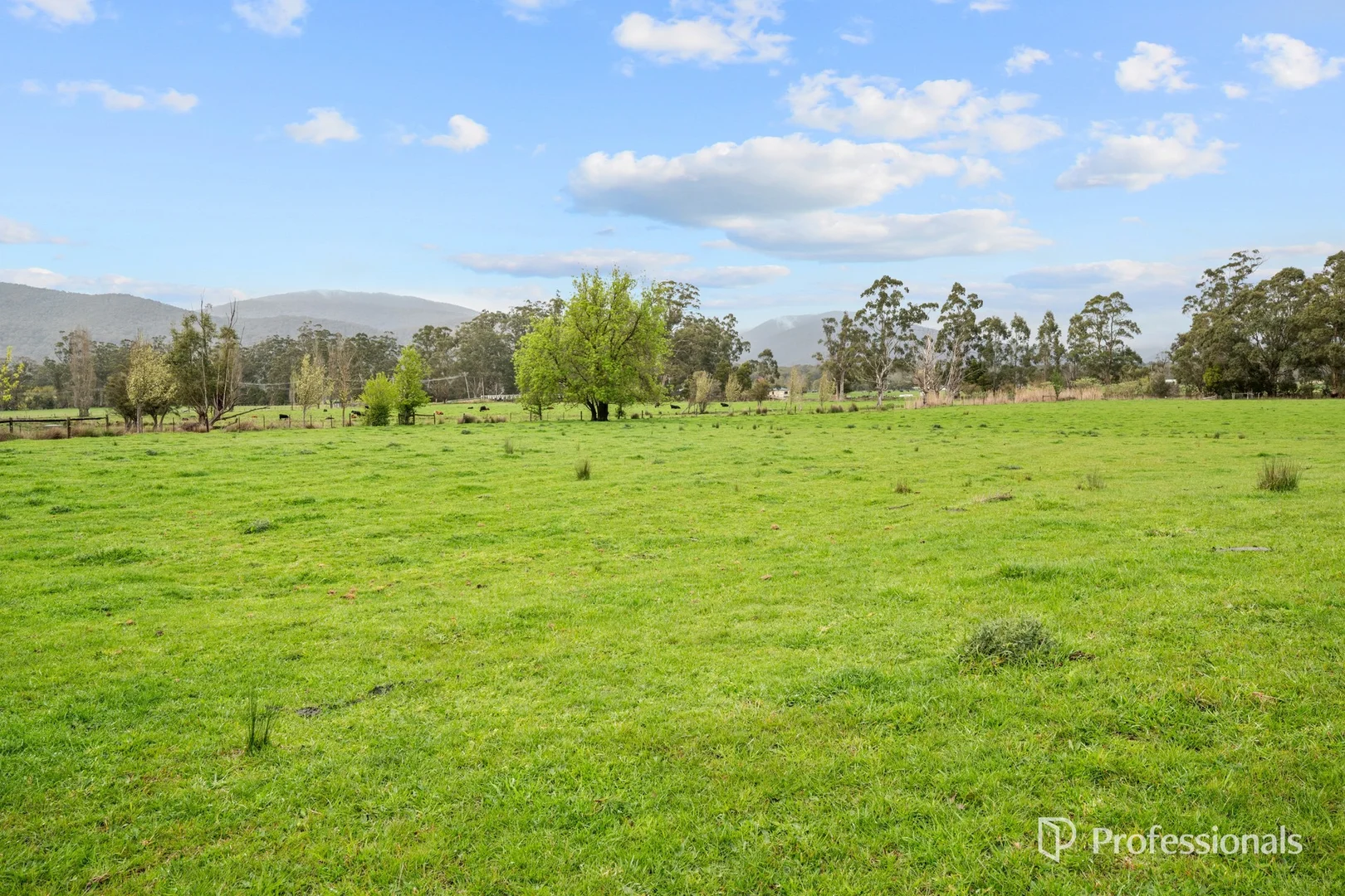 Additional image 24 of 230 Station Road, Wesburn VIC 3799