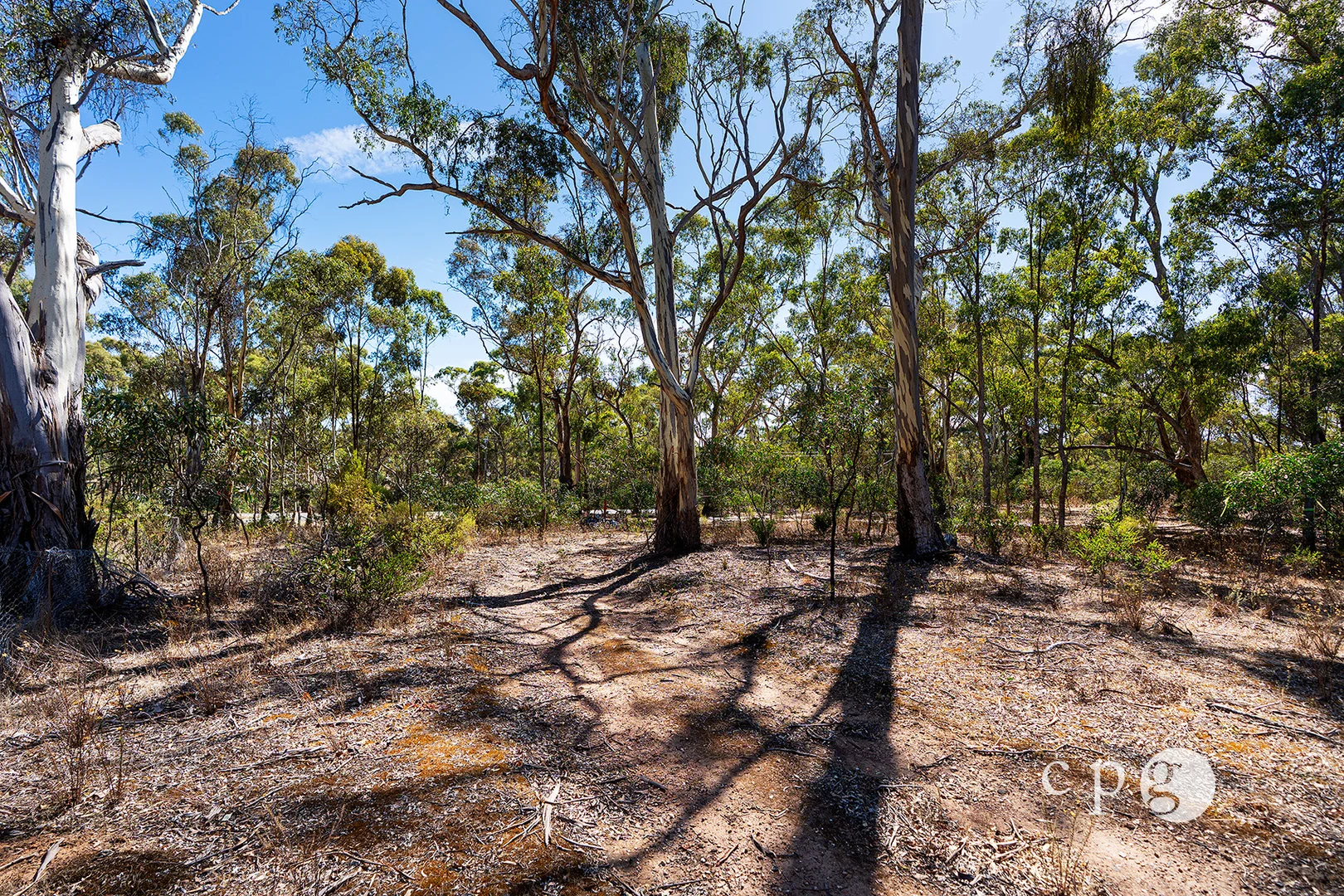 Additional image 4 of 1161 Castlemaine-Maldon Road, Maldon VIC 3463