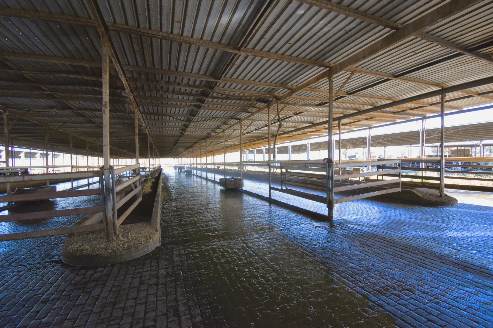 Additional image 15 of 448 Nangar Road, Canowindra NSW 2804