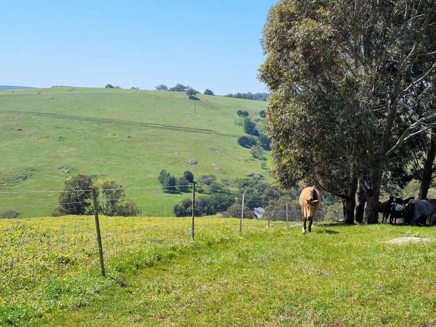 Additional image 7 of Lot 8 Catalano Road, Burekup WA 6227