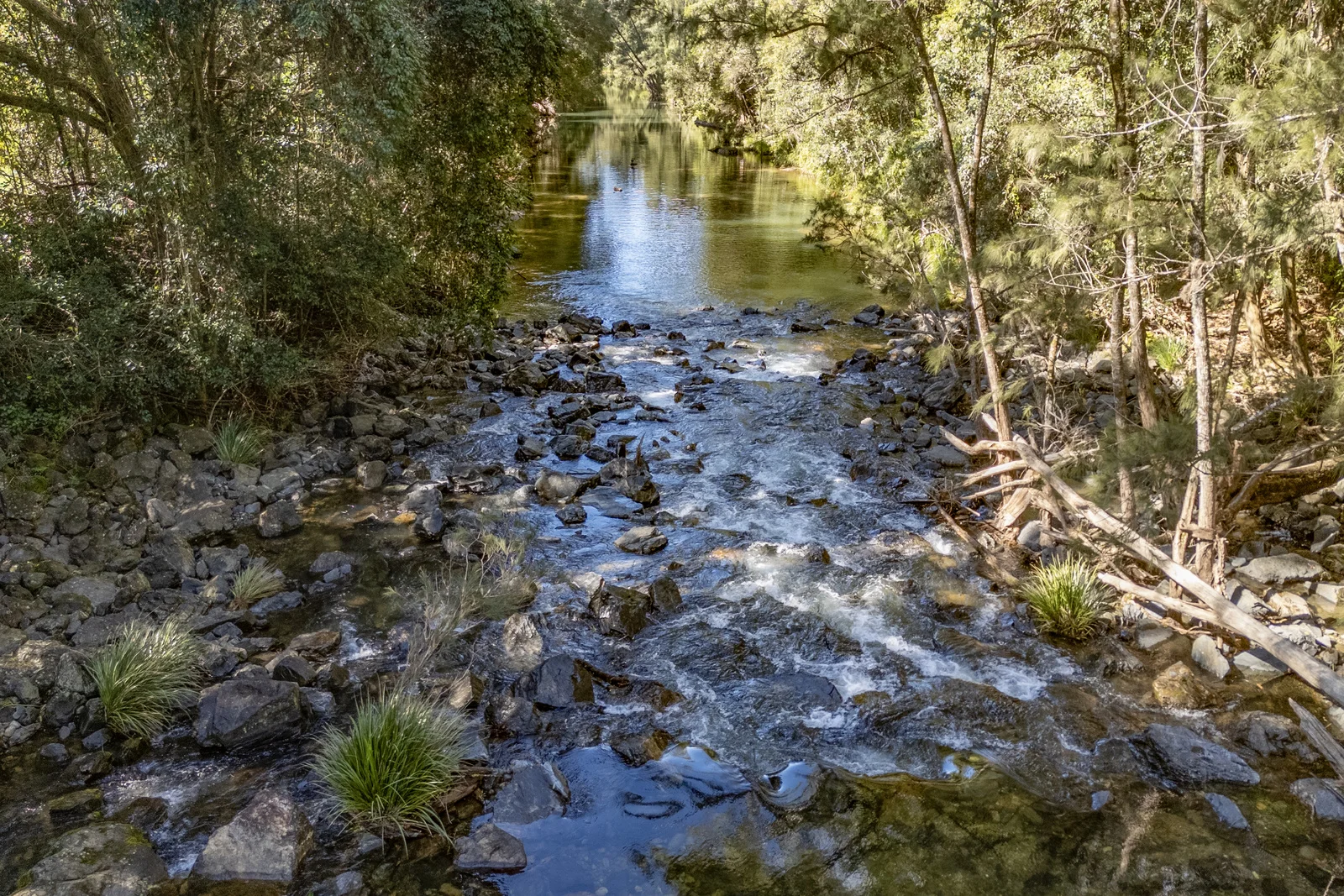 Additional image 35 of 339 Dairyville Road, Upper Orara NSW 2450