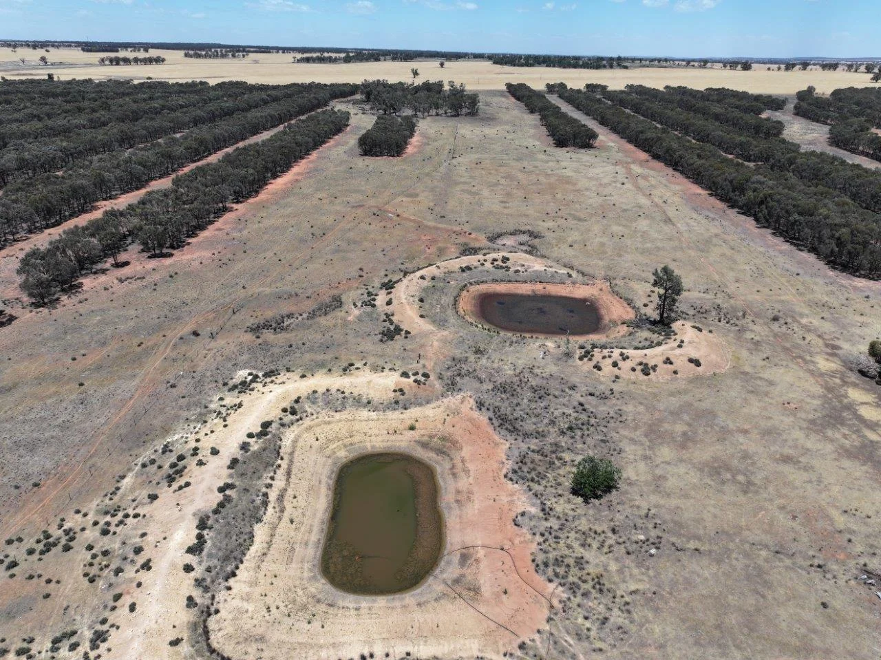 Additional image 8 of 'Corio' 343 Lees Lane, Alleena NSW 2671