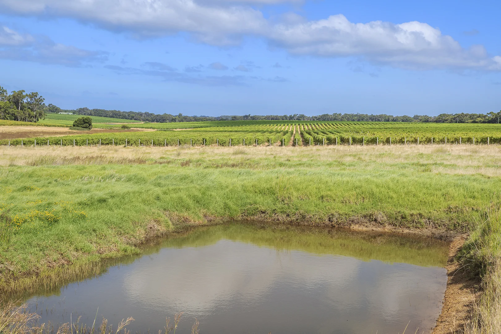 Additional image 17 of 243 Miamup Road, Cowaramup WA 6284