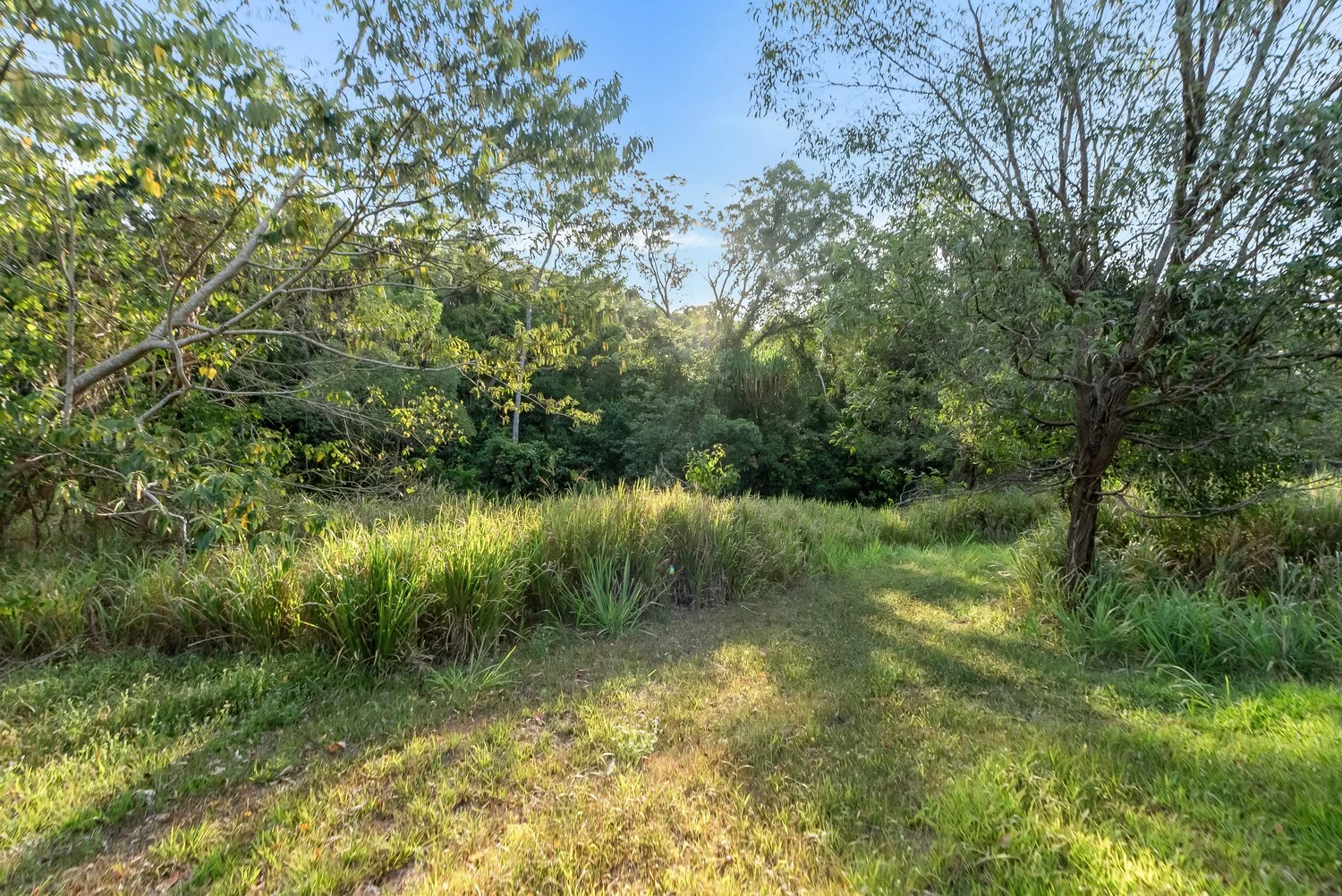 Additional image 30 of 1060 Pine Creek Yarrabah Road, East Trinity QLD 4871