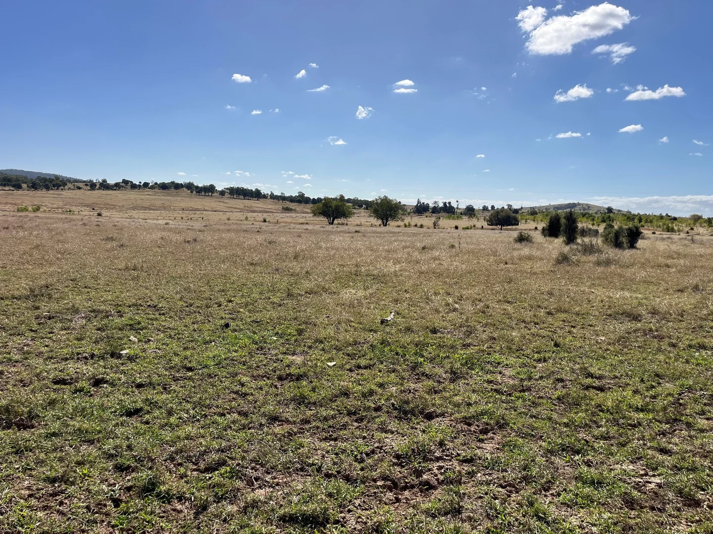 Additional image 8 of Kokotungo QLD 4702