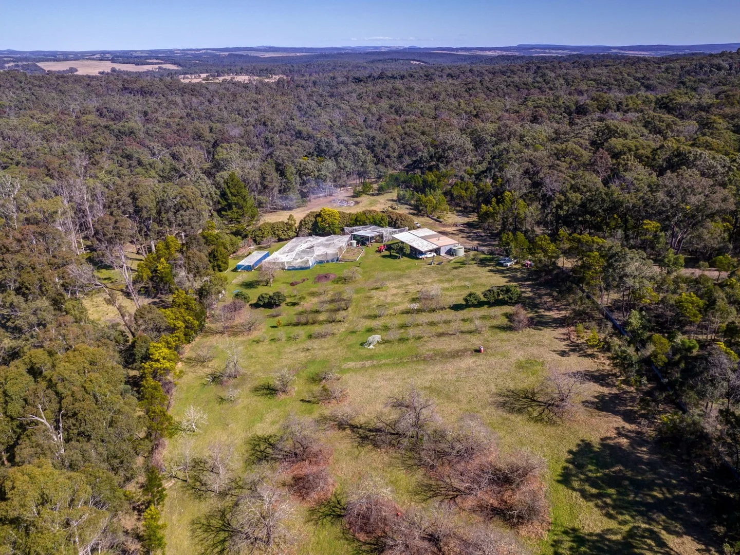 170 Wattle Flats Road, Canyonleigh NSW 2577