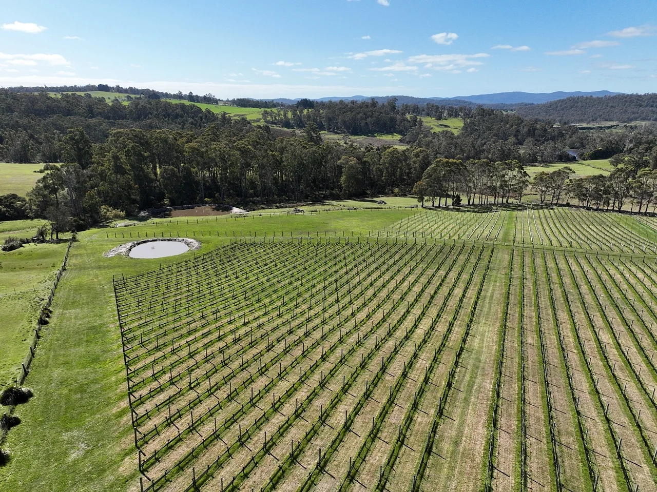 Additional image 18 of 150 Hjorts Road, Loira TAS 7275
