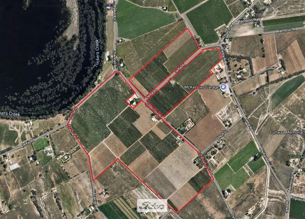 310 Delta Road, Curlwaa NSW 2648