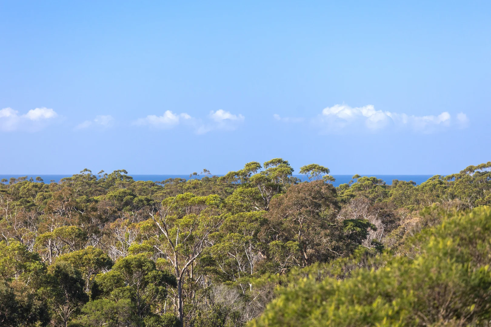 Additional image 4 of 34B Springfield Drive, Mollymook NSW 2539