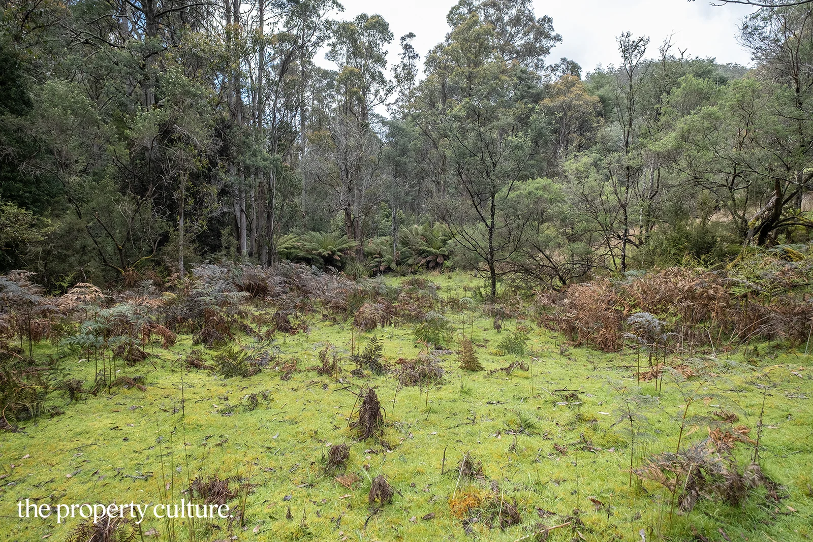 Additional image 16 of 1, 2 & 3 Bakers Creek Rd, Lucaston TAS 7109