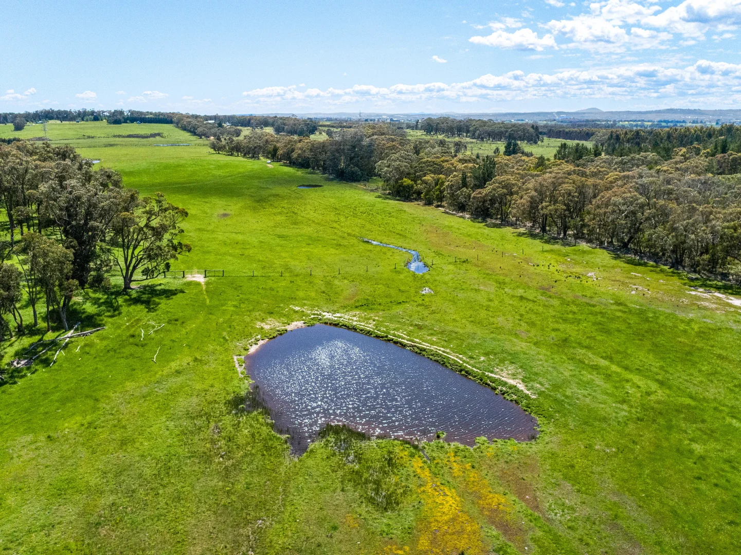 Additional image 2 of Napoleons VIC 3352