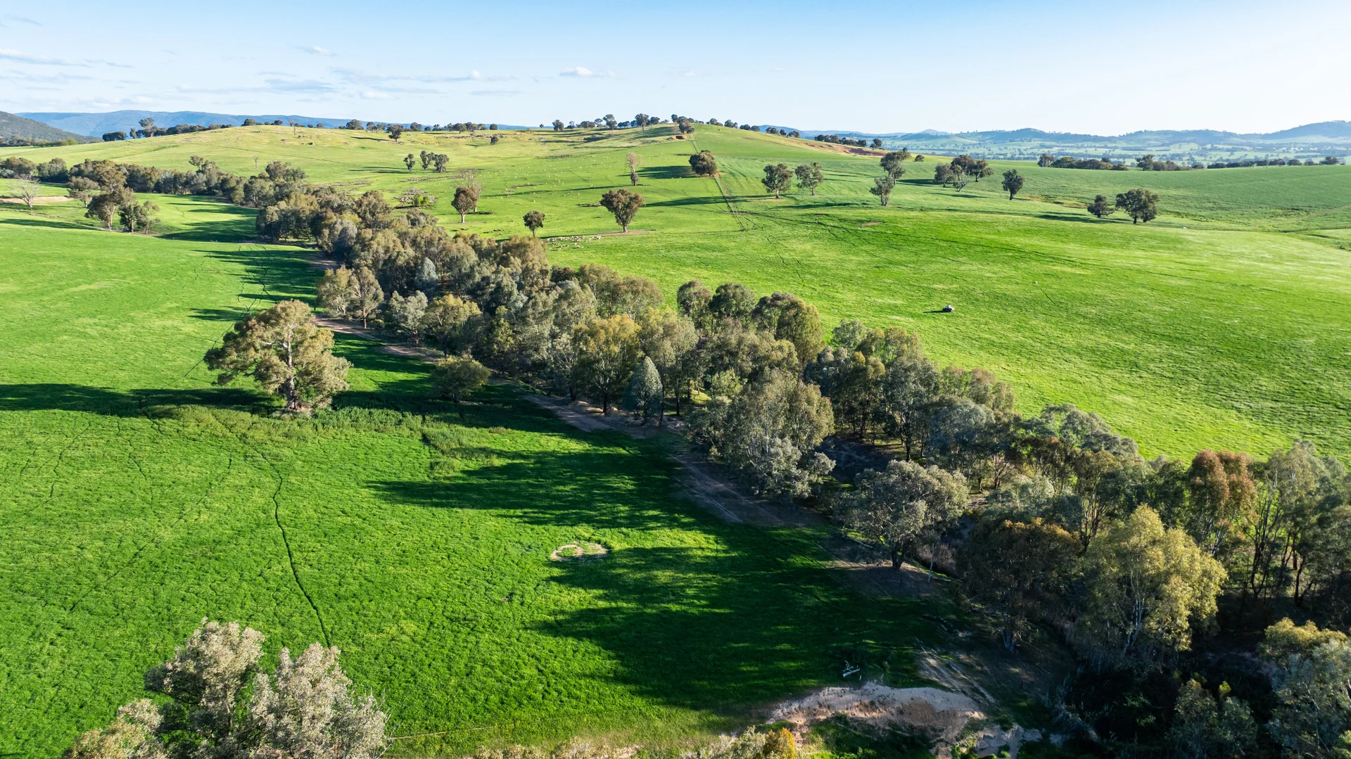 Additional image 6 of Lot 1/279 & Lot 2/281 Jingellic Road, Holbrook NSW 2644