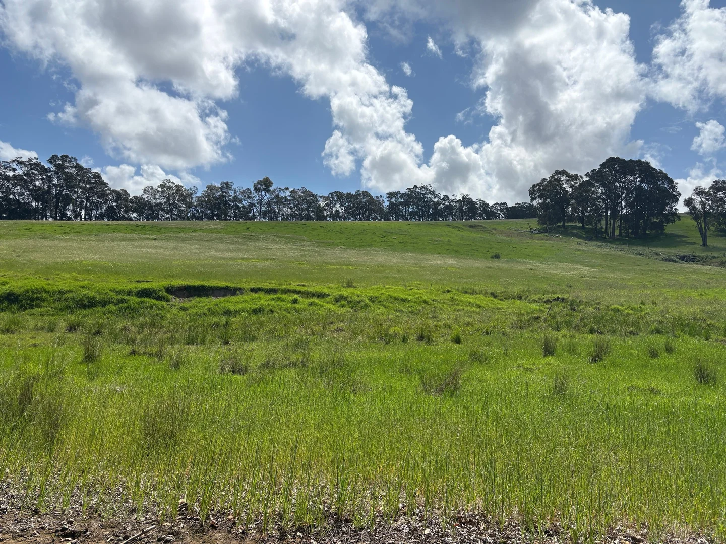 Additional image 15 of Lot 72 Beelerup Road, Beelerup WA 6239