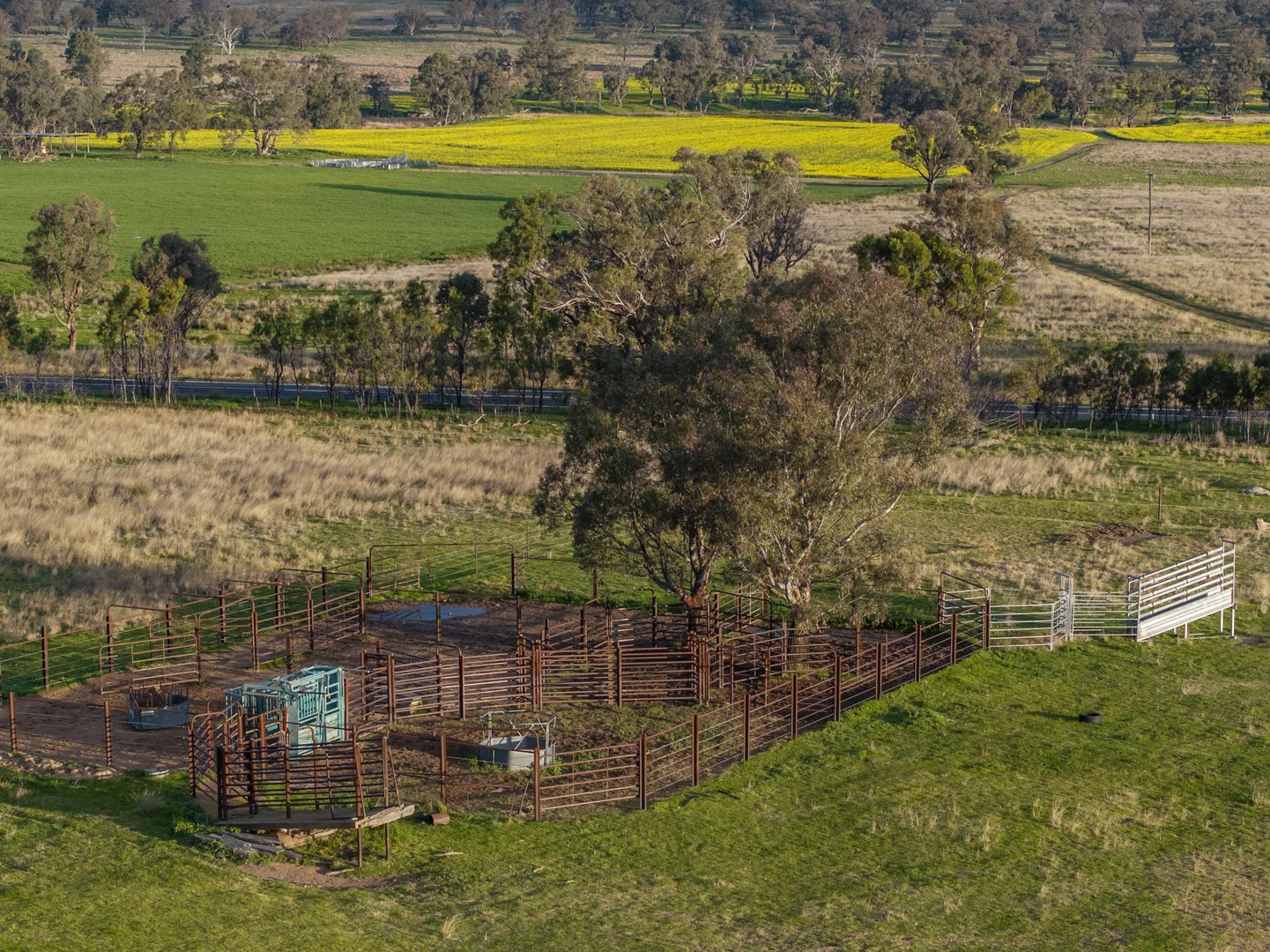 Additional image 21 of Mount Bodangora 5008 Goolma Road, Wellington NSW 2820