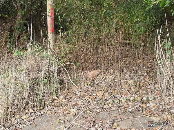 Additional image 5 of 3228 Rossville Bloomfield Road, Bloomfield QLD 4895