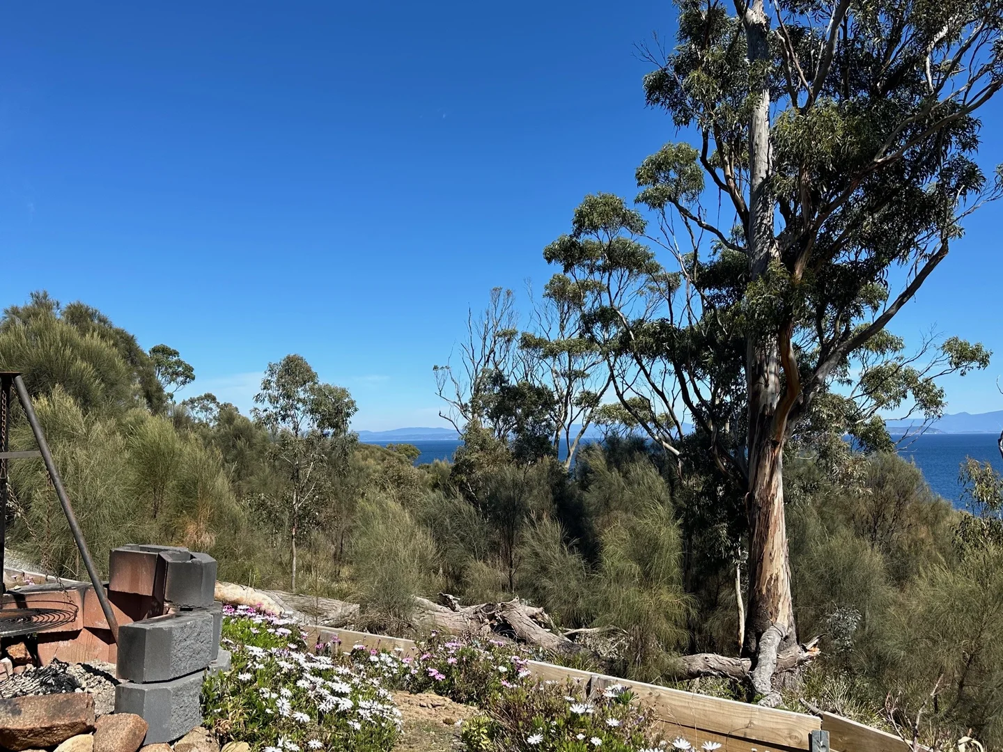 Additional image 10 of 613 White Beach Road, White Beach TAS 7184