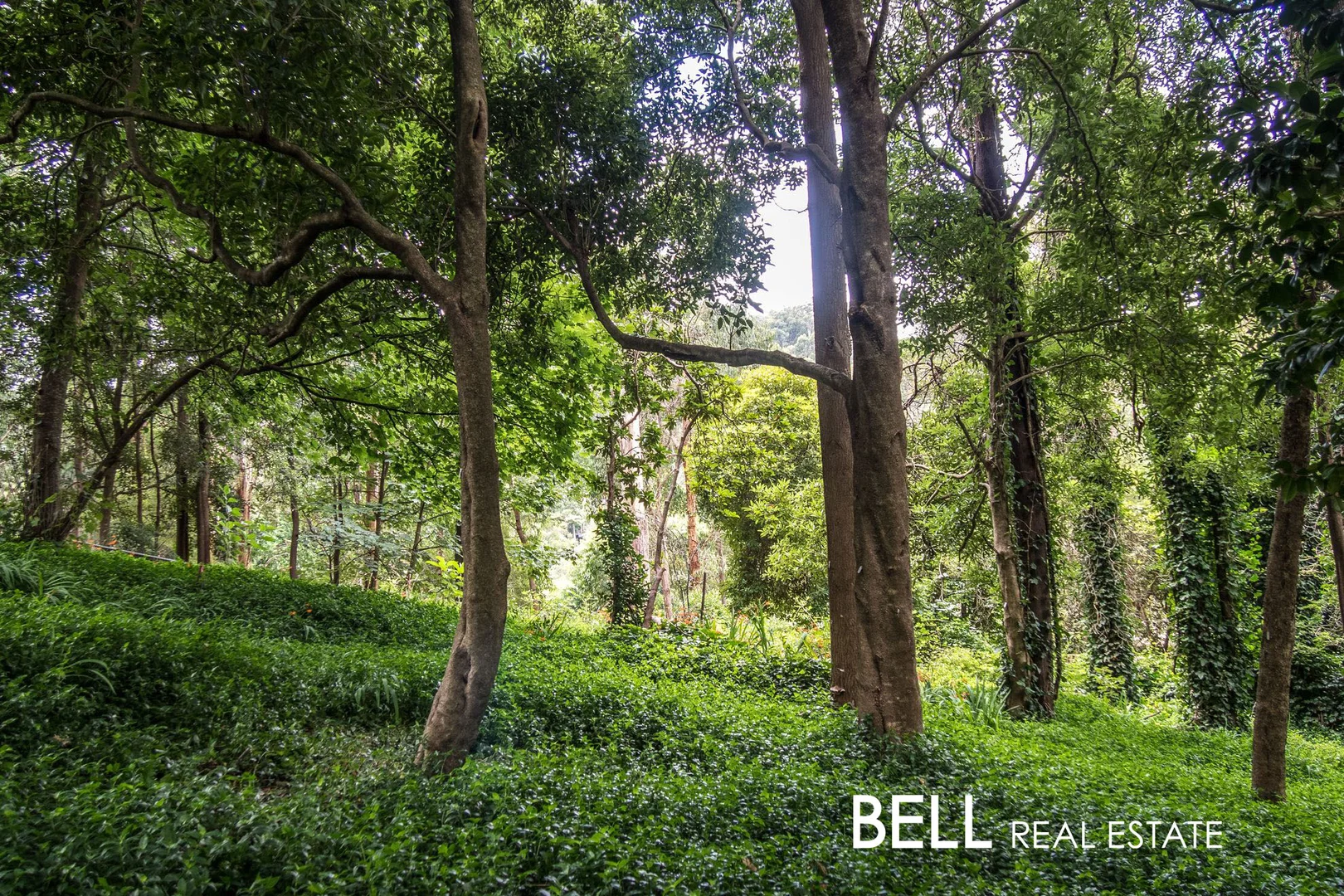 Additional image 12 of 15 Wedgewood Avenue, Belgrave VIC 3160