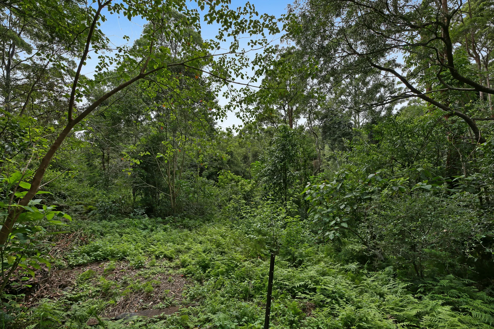 Additional image 25 of 69-73 Timbarra Drive, Beechmont QLD 4211