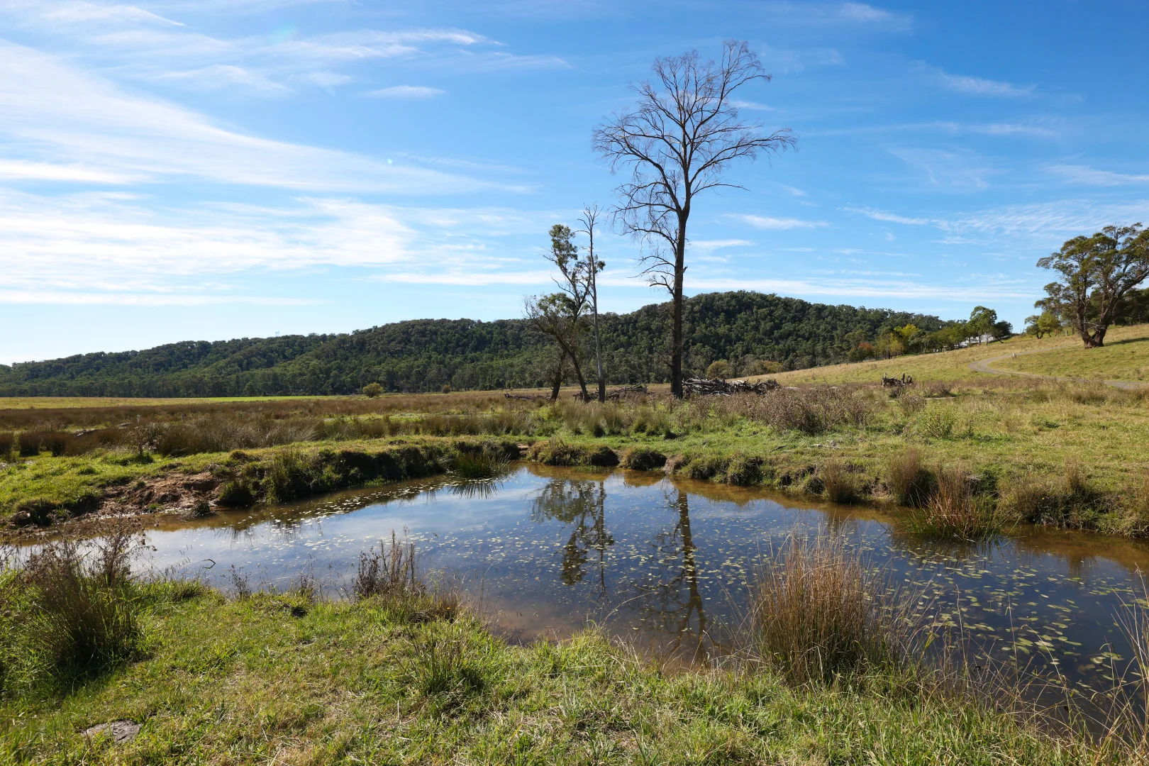 Additional image 25 of 710 Inverary Road, Paddys River NSW 2577
