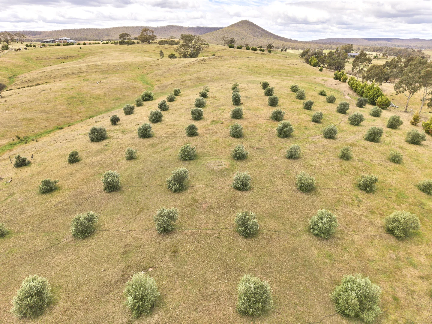 Additional image 30 of 42 Walker Road, Heathcote VIC 3523